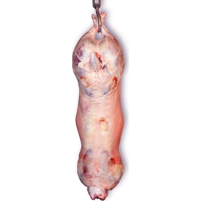 خروف كامل